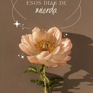 Imagen de portada para Ebook Frases para ESOS días de mierda