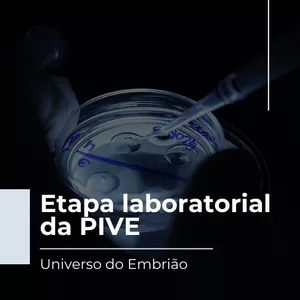 Imagem de capa para o Ebook Etapa laboratorial da PIVE