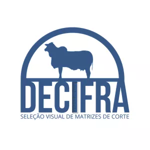 Imagem de capa para o Curso online Decifra