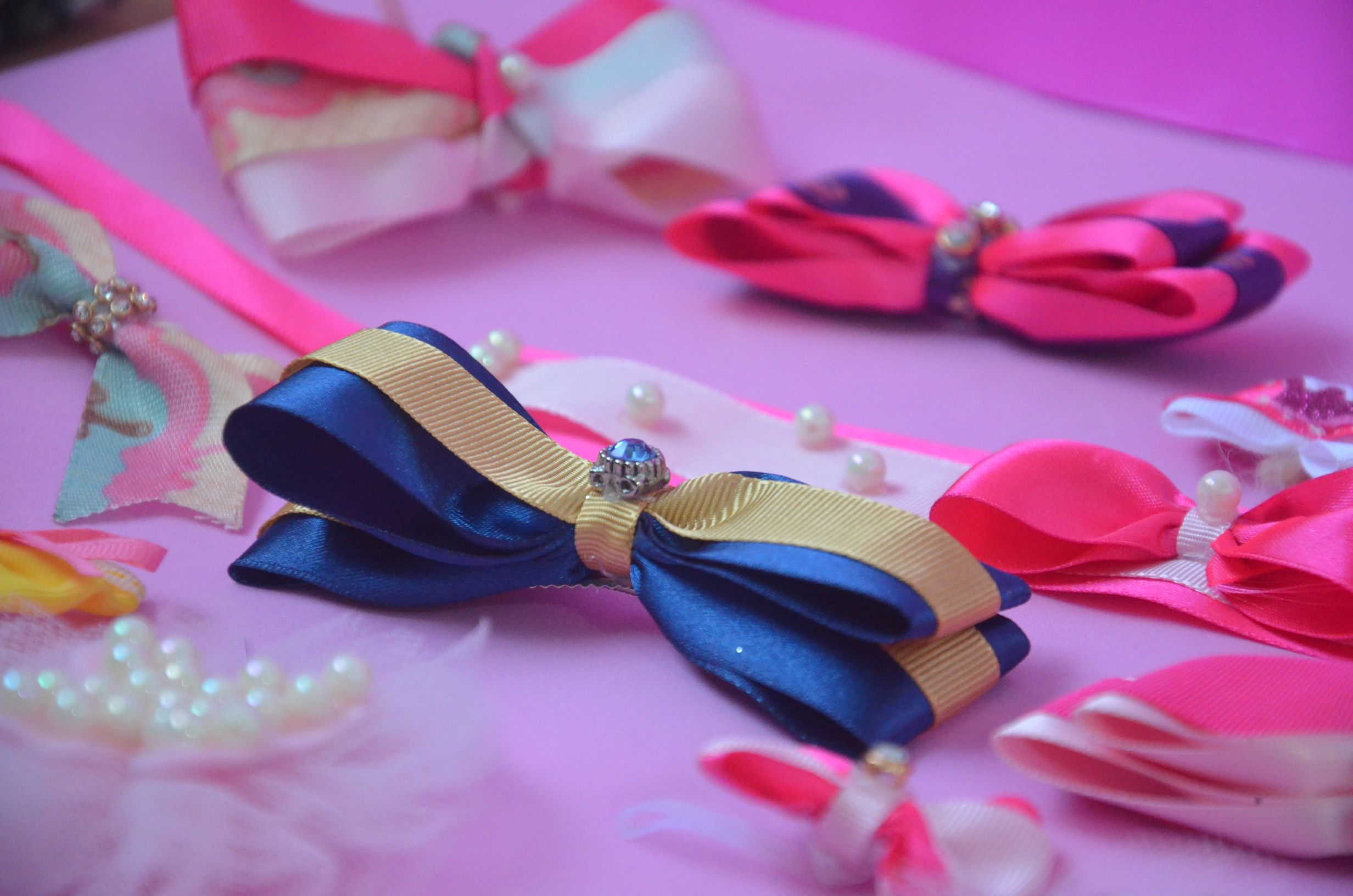 Imagem de Curso de lacinhos para pets criado por Tarciana na hotmart