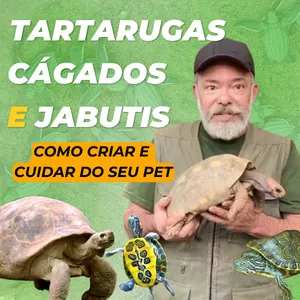 Tartarugas, cágados e jabutis - Biólogo Sérgio Rangel ensina biologia e manejo de quelônios