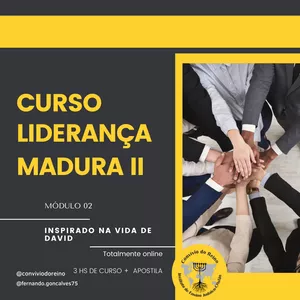 Imagem do curso LIDERANÇA MADURA II