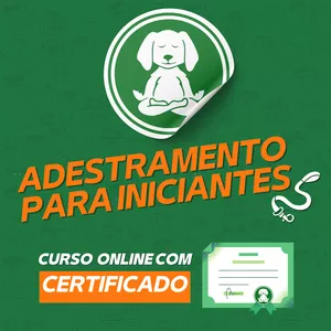 Imagem do curso Adestramento Para Iniciantes