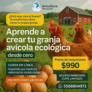 Imagen de portada para Curso online Aprende a crear tu granja avícola ecológica desde cero.