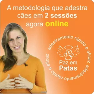 Curso Adestramento de Cães Paz em Patas