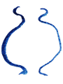 LADY apothecary logo