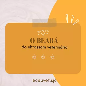Imagem de capa para o Curso online O Beabá do Ultrassom Veterinário