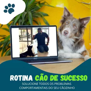 Capa do curso 