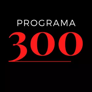 Imagem de capa para o Curso online Programa 300