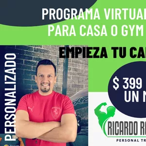 Imagen de portada para Curso online PROGRAMA ROMERO  VIRTUAL UN MES 