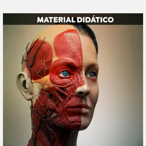 Imagem principal do produto E-book de anatomia e fisiologia 