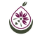 Syconium Healing Practice