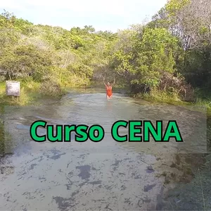 Imagem de capa para o Curso online Curso CENA