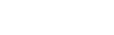 Dynamic Foundations Institute logo