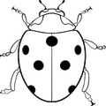 Christopher Maxwell logo