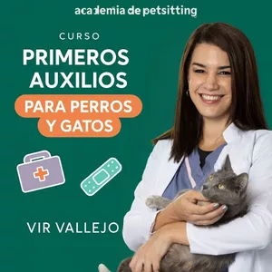 Imagen de portada para Curso online MASCOTAS: Primeros Auxilios + RCP