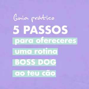 Imagem de capa para o Ebook 5 Passos para ofereceres uma rotina Boss Dog ao teu cão