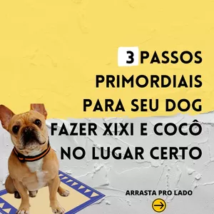 Imagem de capa para o Curso online Xixi & Cocô no Alvo
