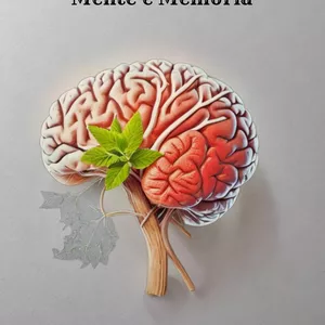 Imagem de capa para o Ebook Aprenda a dominar sua mente e memória