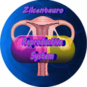 Cover image for Online course Reproductive System By Zilcentauro