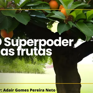 Imagem de capa para o Ebook Livro Infantil "o Superpoder das Frutas"