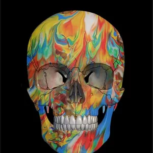 Imagem de capa para o Ebook ANATOMIA: Guia Básico de Sobrevivência