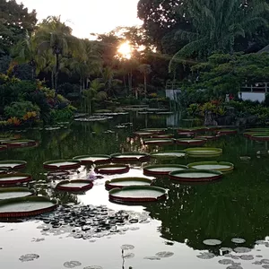 Imagen de portada para Curso online Imágenes paisajes naturales bellos