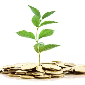 Cover image for Ebook The evolutionary money cycle E-book