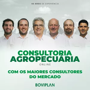 Imagem de capa para o Serviço online Consultoria Agropecuária Online