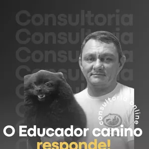 Imagem de capa para o Evento online Consultoria Online Para Tutores de Cães