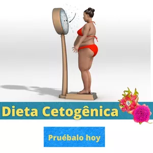 Imagem de capa para o Ebook CETOGÊNICA