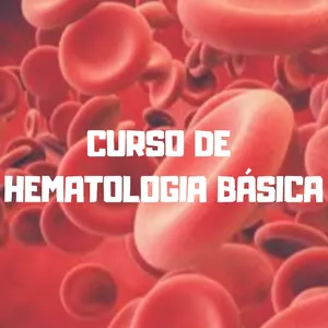 Imagem principal do produto Curso de Hematologia Básica