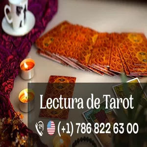 Imagen de portada para Curso online Las mejores videntes y tarot card readers de Miami Florida: cómo encontrarlas y contactarlas 🌟