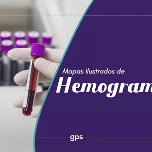 Imagem de capa para o Ebook PT Mapa Ilustrado de Hemograma