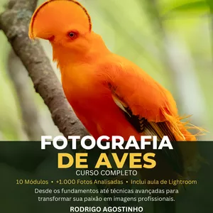Imagem do curso Curso Completo de Fotografia de Aves