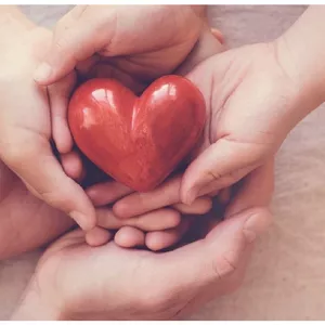 Imagem de capa para o Ebook Educação não violenta