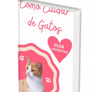 Imagem do curso COMO CUIDAR DE GATOS: GUIA DEFINITIVO