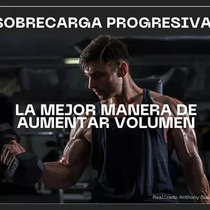 Imagen de portada para Ebook SOBRE CARGA PROGRESIVA