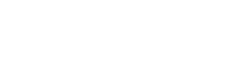 I.D.E.A.L. U: Innovation Design Entrepreneurship Agile Lean logo