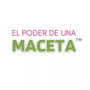 Imagen de portada para Curso online El Poder de Una Maceta