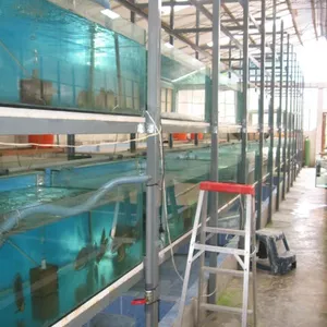 Imagen de portada para Curso online Curso Personalizado para disfrutar del Acuarisimo.