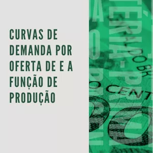 Imagem de capa para o Ebook E-book CURVAS DE DEMANDA POR OFERTA DE E A FUNÇÃO DE PRODUÇÃO