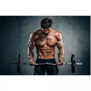 Imagem de capa para o Ebook Como ganhar massa muscular de forma rápida (Hipertrofia Muscular)