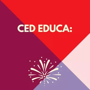 Imagem de capa para o Curso online CED EDUCA