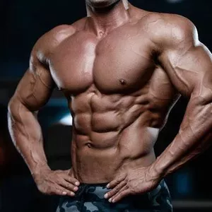 Imagem de capa para o Ebook Manual Danones para gente grande