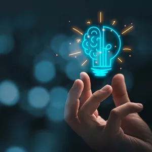 Imagem de capa para o Ebook Introdução à Neurociência