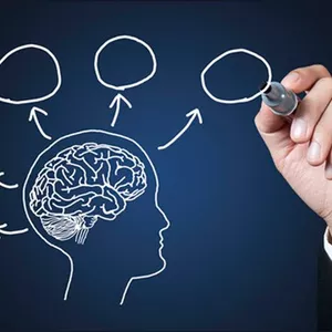 Imagen de portada para Curso online Comprendiendo las Ciencias del Comportamiento: Una Introducción a la Psicología Cognitiva.