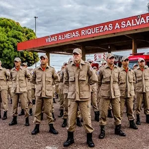 Imagem de capa para o Curso online Curso para futuros SGTs