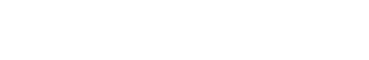The Connection Effect  logo
