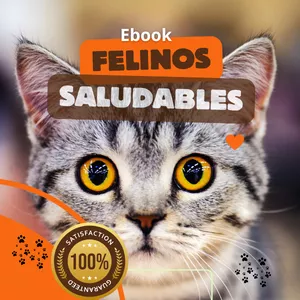 Imagen de portada para Ebook FELINOS SALUDABLES